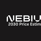 Nebius Valuation Model!