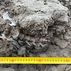 Anthropology.net
