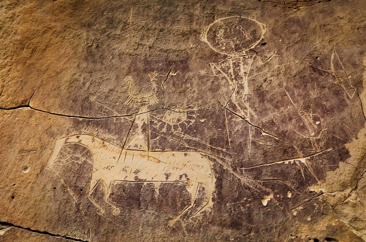 Horse nations: Animal began transforming Native American life startlingly  early | Science | AAAS