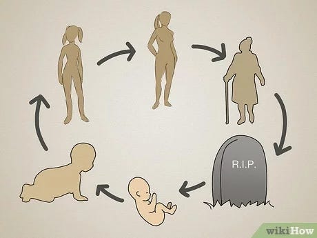 How to Stop the Cycle of Reincarnation: 9 Keys to Nirvana