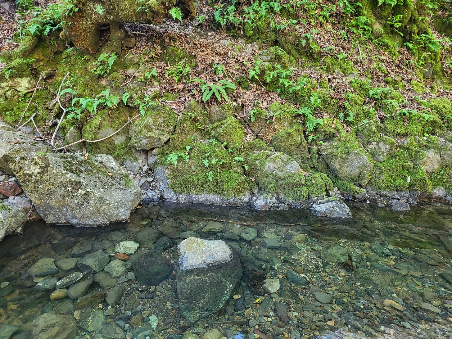 What to Expect While You are Expecting