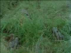 burial ground zombie Zombie gaming gifs,funny gifs,make a gif GIF