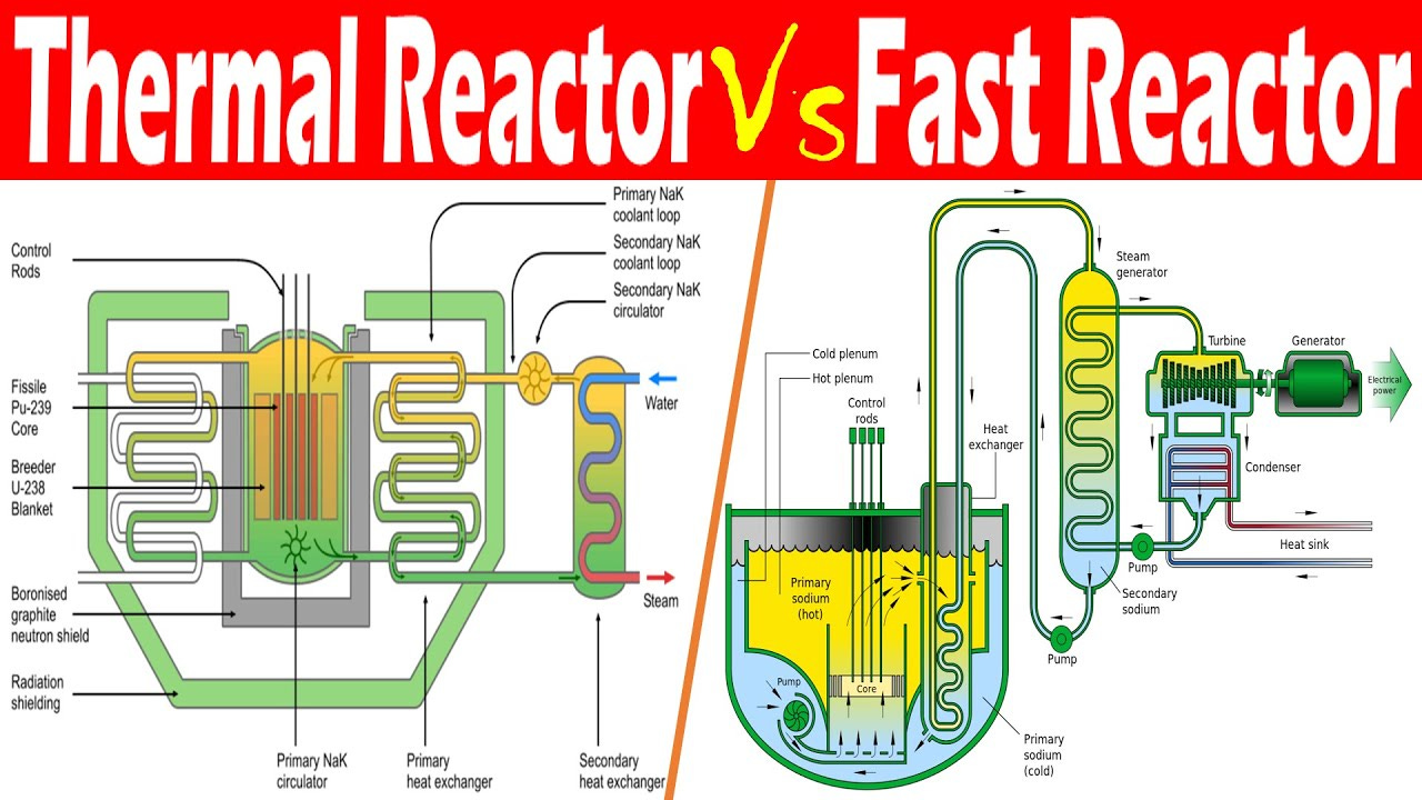 Differences between Thermal Reactor and Fast Reactor.