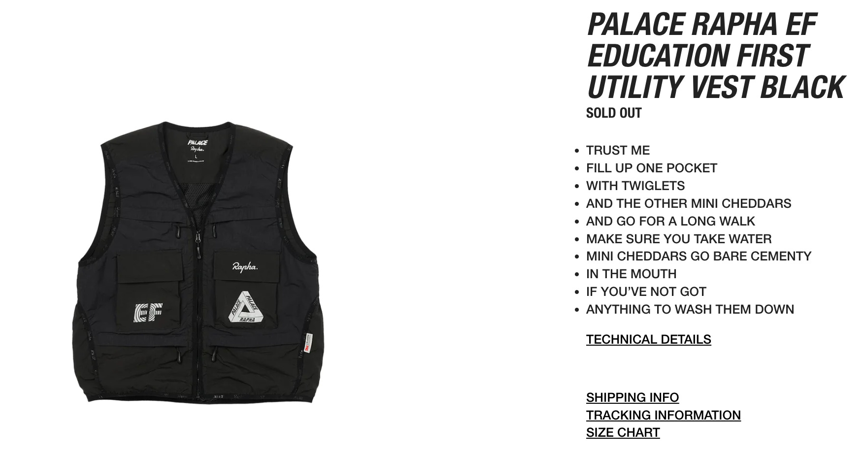 新品 25ss PALACE SKATEBOADS MESHER VEST S MESHER VEST | PALACE SKATEBOARDS