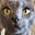 John F. Austin's avatar