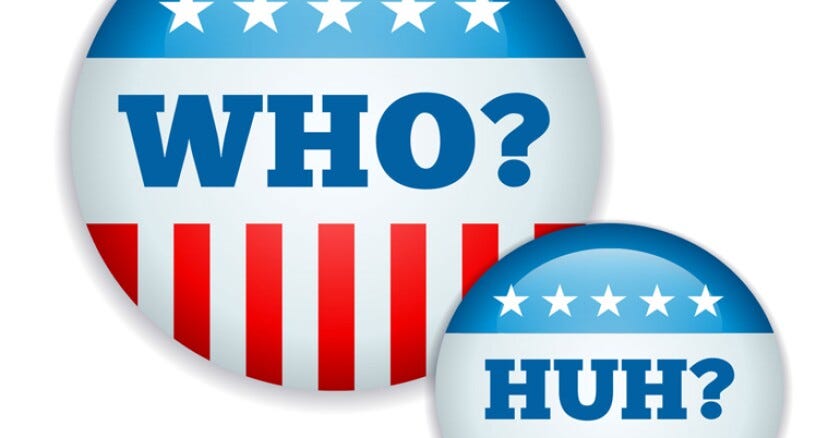 Will Civics Education Make People Better Voters?