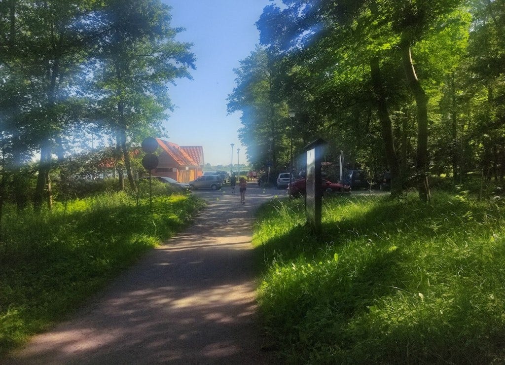 Lush green vegetation by the path as the route heads through a car park