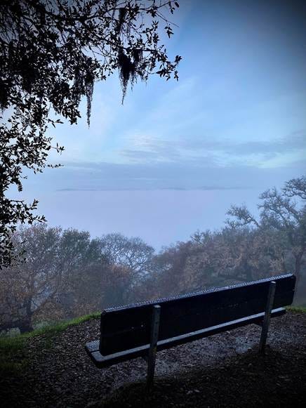A bench overlooking a body of water

AI-generated content may be incorrect.
