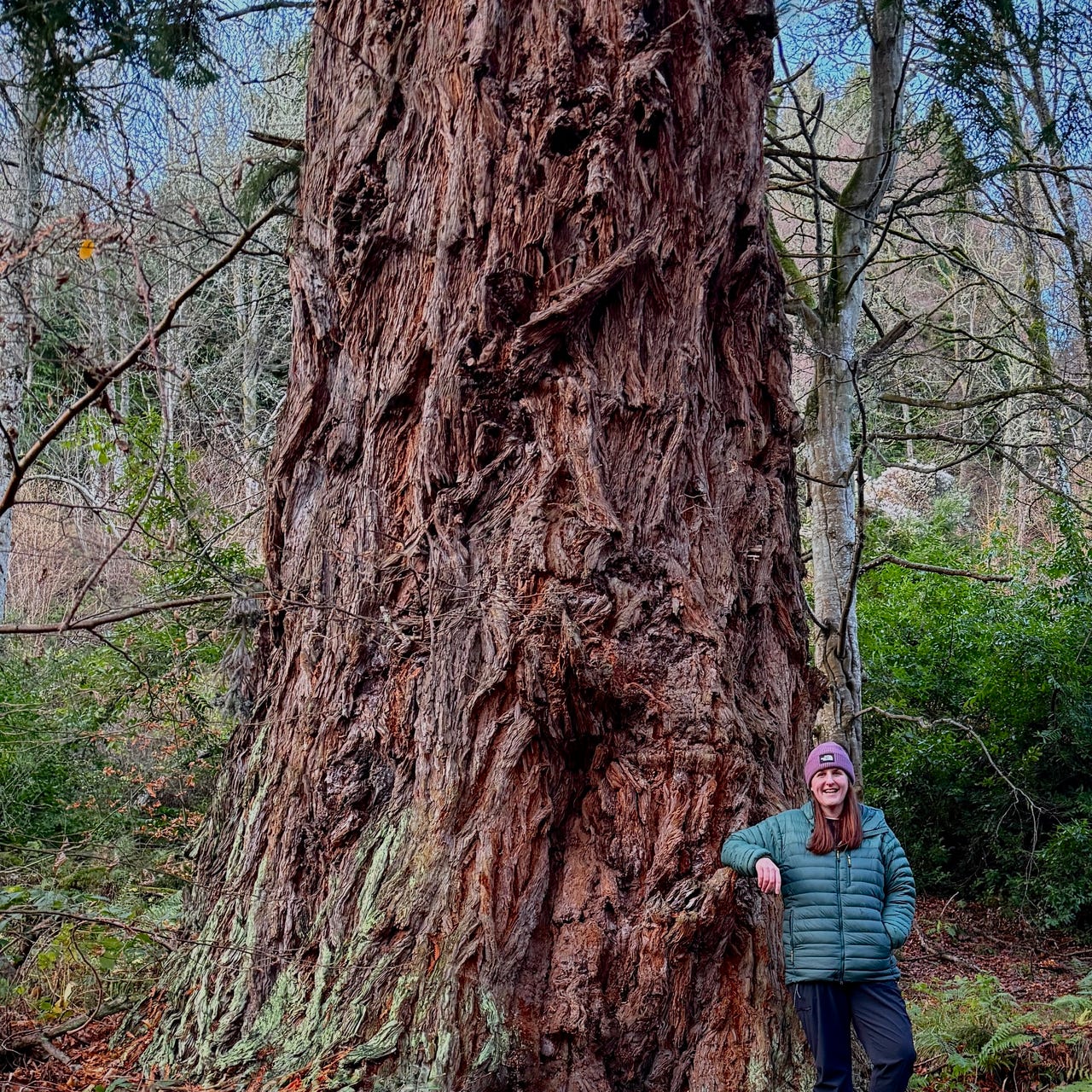 The Heritage Trees of Scotland