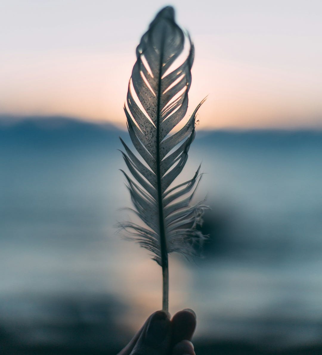 tilt shift lens photography of person holding white feather