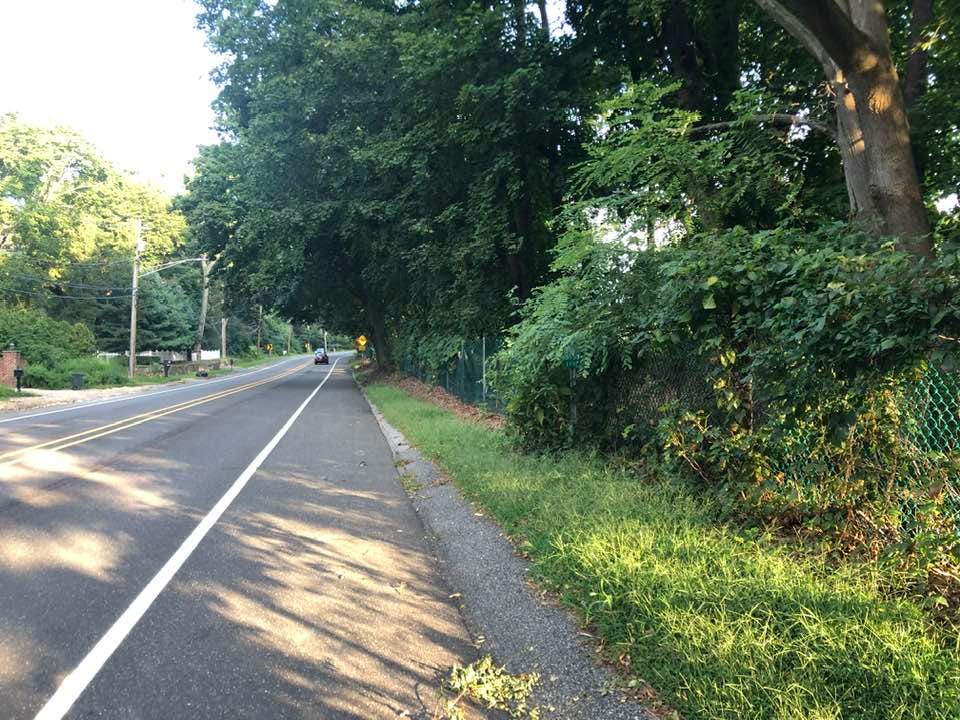 May be an image of road, grass and tree