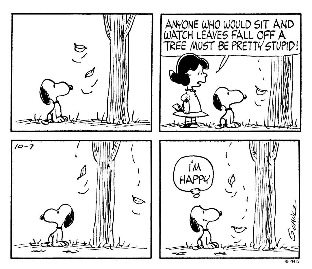 Four-panel black-and-white comic strip. First panel: Snoopy sits under a tree as leaves fall. Second panel: A girl in a dress says Anyone who would sit and watch leaves would fall off and a tree must be pretty stupid. Third panel: The girl stands with flowers looking at Snoopy under the tree with falling leaves. Fourth panel: Snoopy under the tree with falling leaves thinks im happy. Signed by Schulz with copyright notice. Four-panel black-and-white comic strip. First panel: Snoopy sits under a tree as leaves fall. Second panel: A girl in a dress says Anyone who would sit and watch leaves would fall off and a tree must be pretty stupid. Third panel: The girl stands with flowers looking at Snoopy under the tree with falling leaves. Fourth panel: Snoopy under the tree with falling leaves thinks im happy. Signed by Schulz with copyright notice.