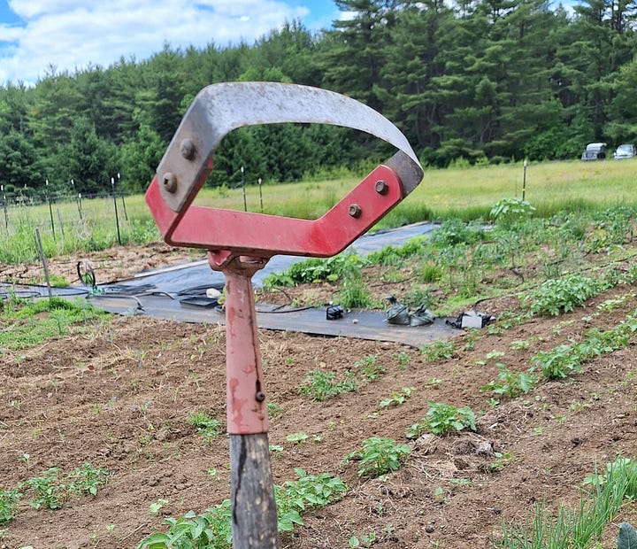 no till garden tools