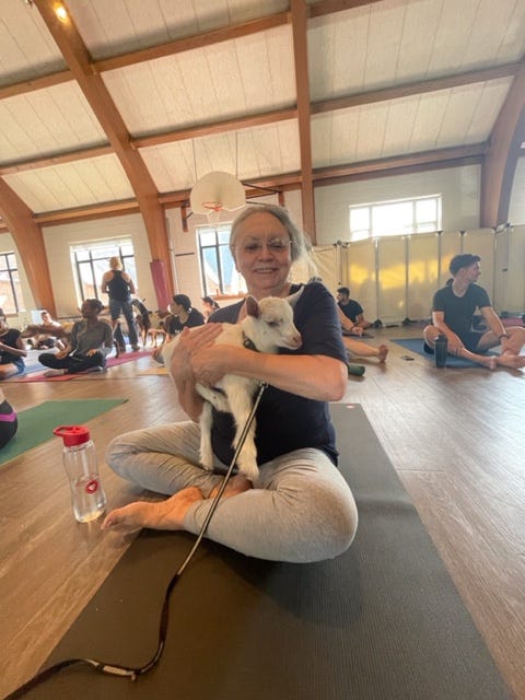 rebecca reynolds - acupuncture practitioner - goat yoga