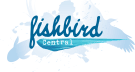Fishbird Art and Nonsense