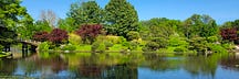 Quackmaster Industries