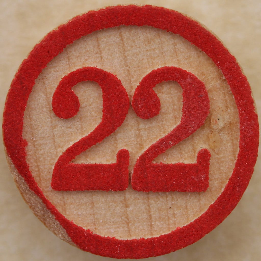 Bingo Number 22