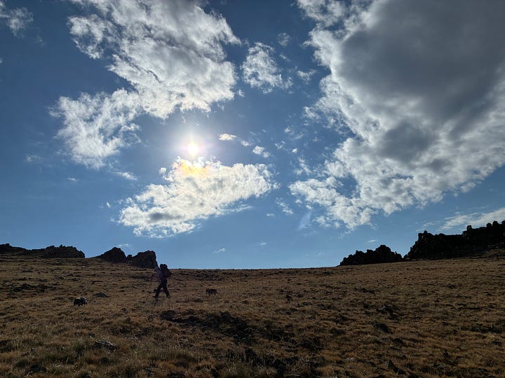 Image of sunset over a mountain lake, image of two dogs in the Red Desert, image of an elk antler shed and a prickly pear bloom, image of author backpacking in the Wind Rivers.