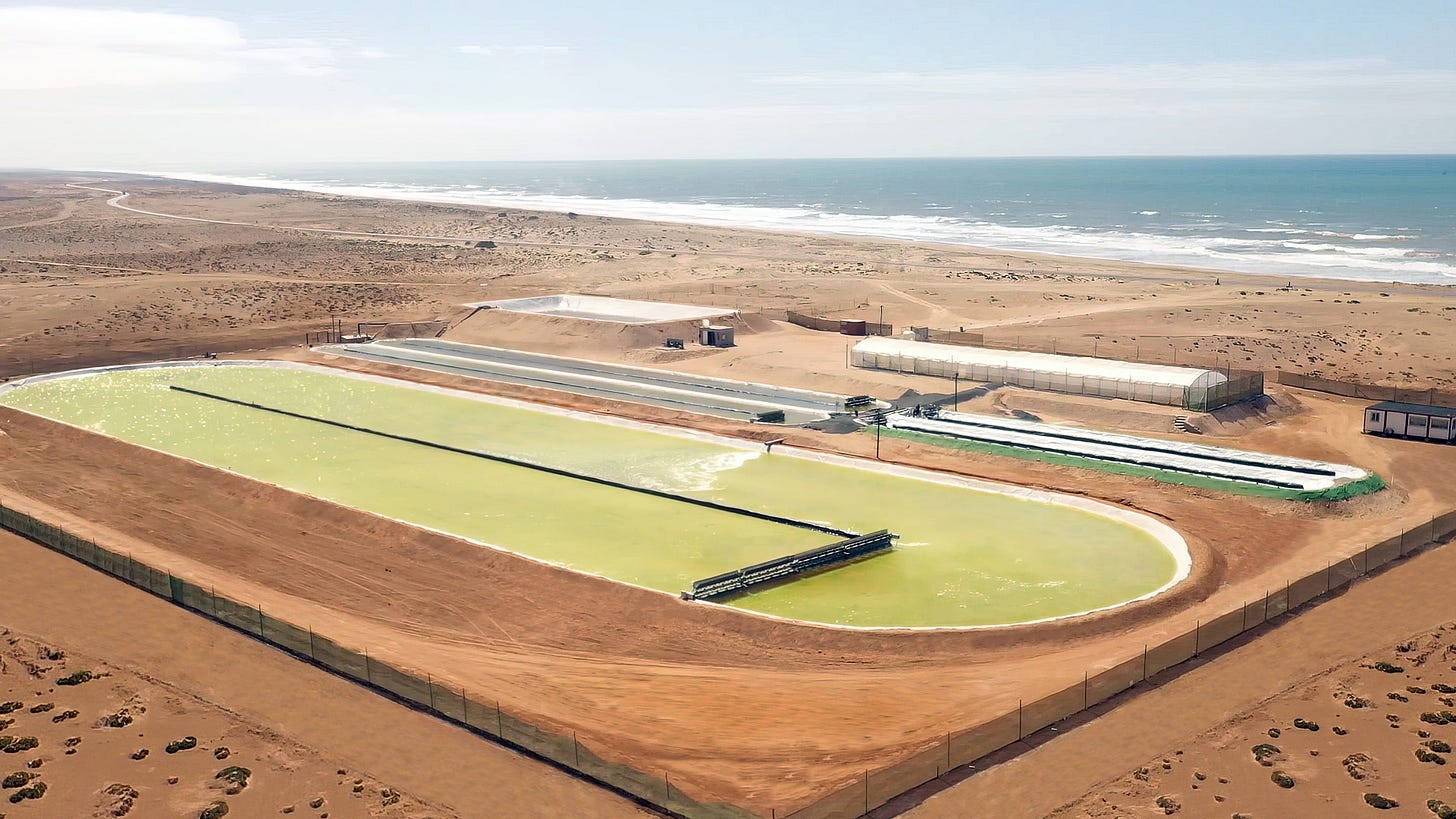 Brilliant Planet is running algae farms to pull carbon out of the air |  TechCrunch