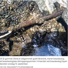 Where Once Glaciers Rested, Archaeologists Literally Stumble Across Artefacts 
