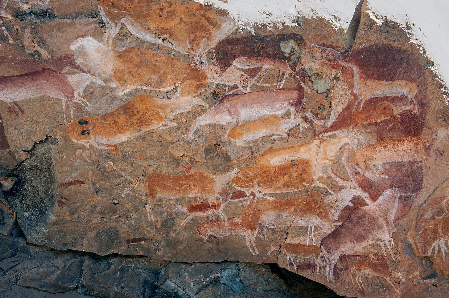Reflecting Back: 40 Years Since 'A Survey of the Rock Art in the Natal ...