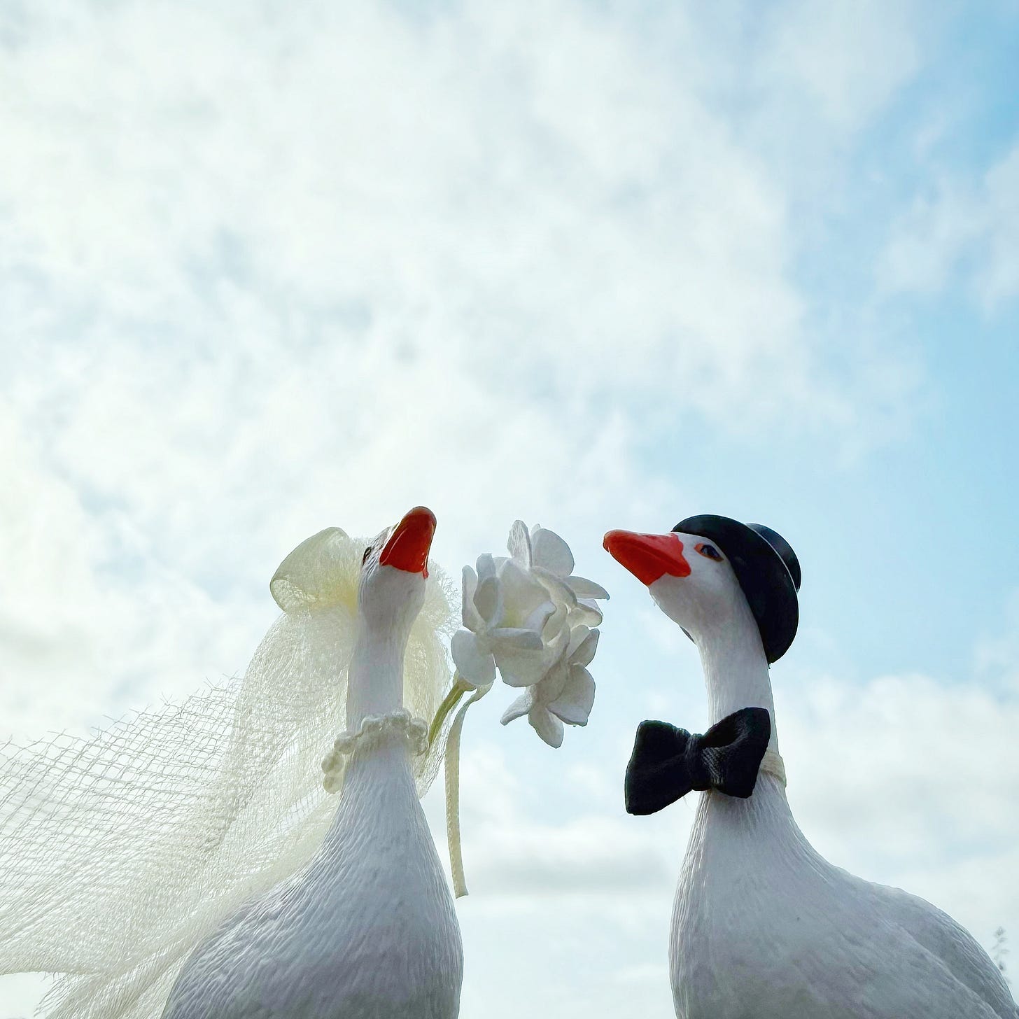 Two white goose figurines, suitable for wedding cakes. 