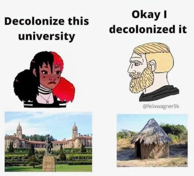 Left upper panel: Cartoon illustration of a woman with split black and red hair, surprised expression, wearing striped shirt. Labeled Okay I decolonized this university. Below it: Photograph of a large stone university building with clock tower, arched windows, statues on lawn, surrounded by manicured gardens and trees. Right upper panel: Cartoon illustration of a man with blond hair, smug expression. Labeled decolonized it. Below it: Photograph of a small thatched roof hut made of reeds, standing in open grassy field near a body of water, with sparse vegetation around. Watermark from @felixwagner9k visible on right image.