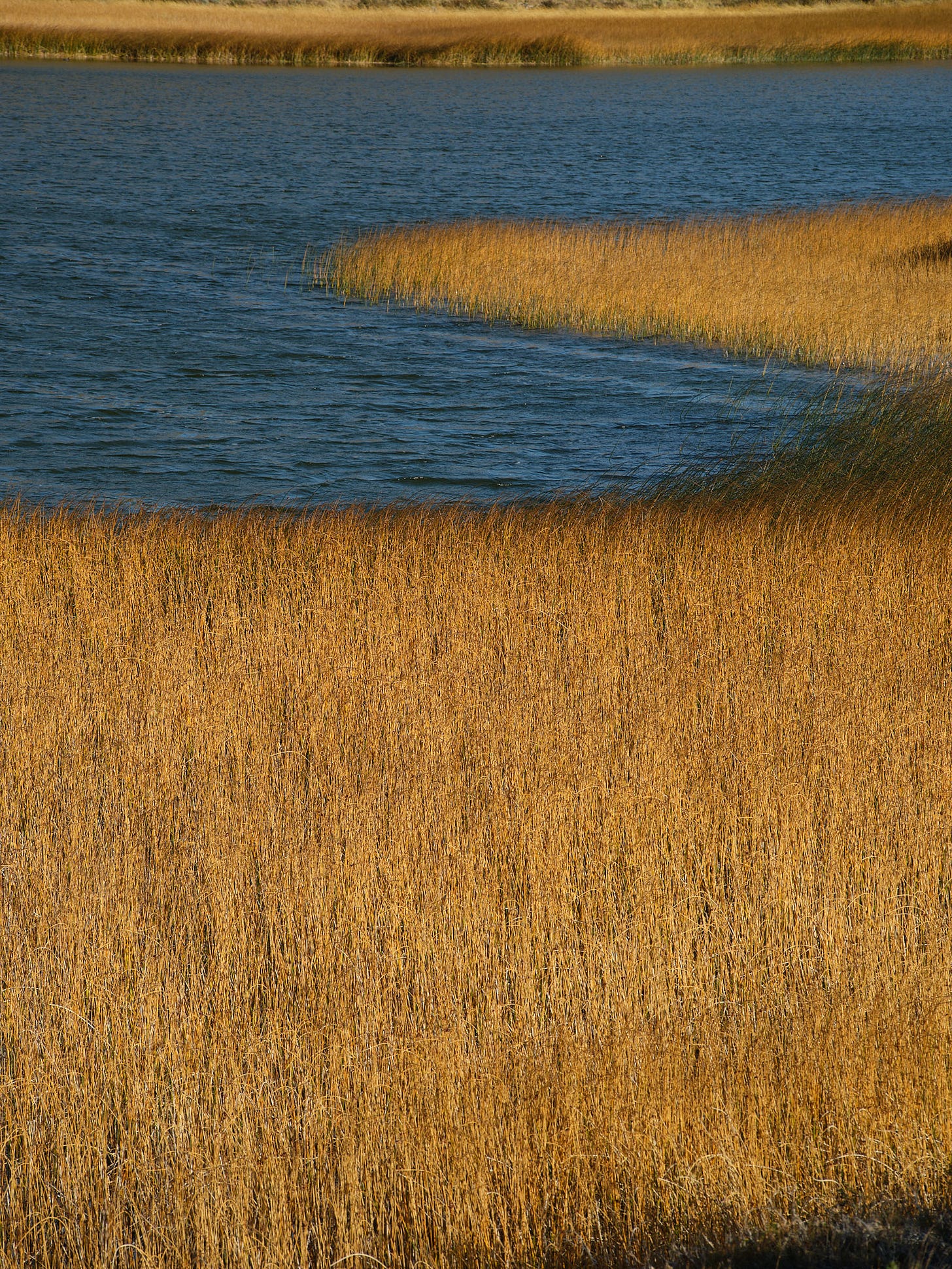 Last image made before the GFX 100 hit the ground Last image made before the GFX 100 hit the ground