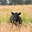 Farm Gate's avatar
