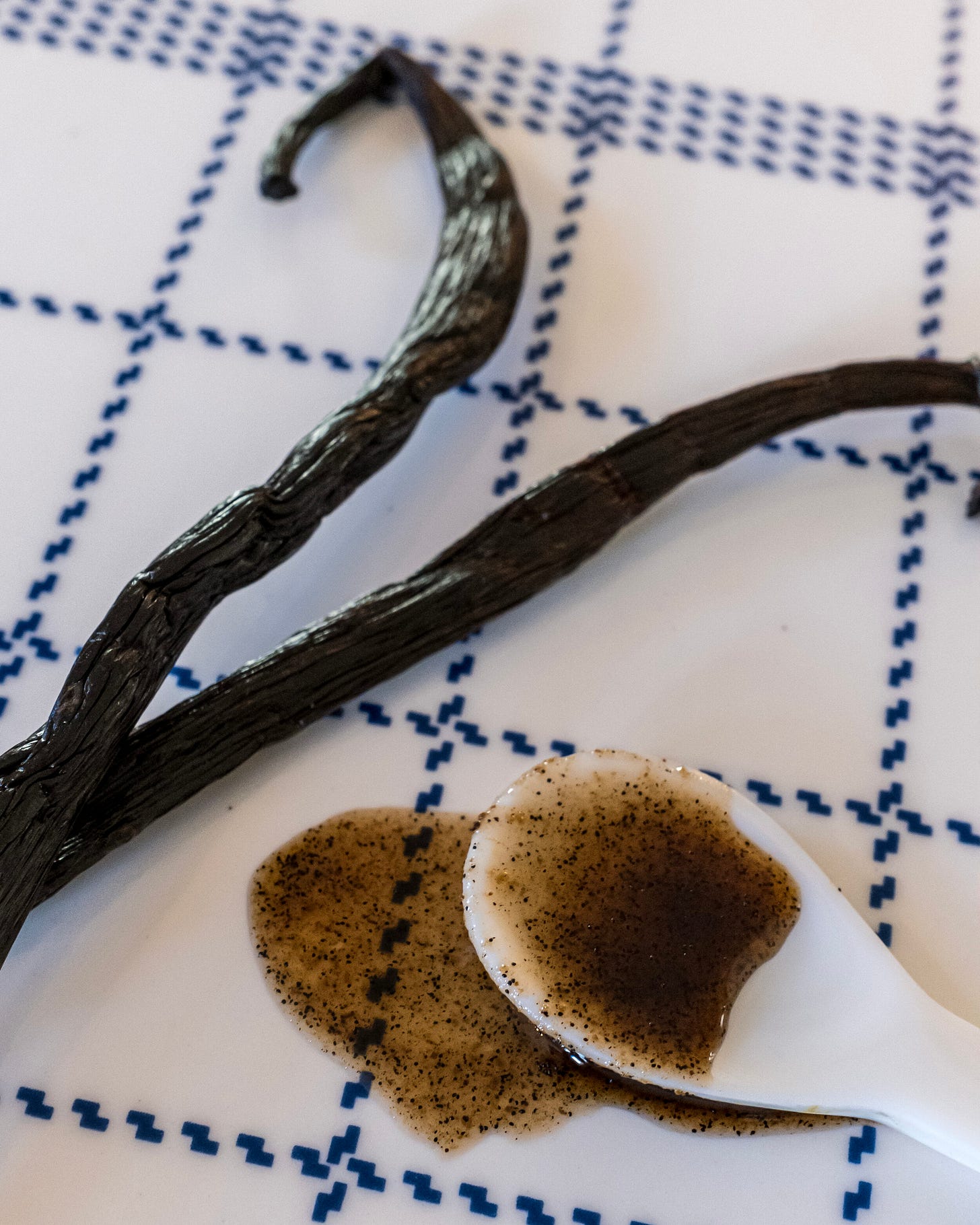 Homemade Vanilla Bean Paste — Sweet • Sour • Savory Homemade Vanilla Bean Paste — Sweet • Sour • Savory