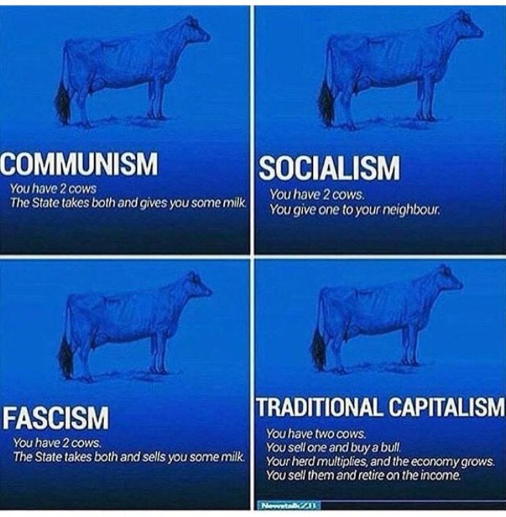 This may contain: four cows with captions that say racism, capitalism, and socialism in different languages
