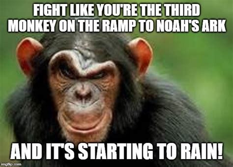 Fight Like The Third Monkey Meme - Meme Walls