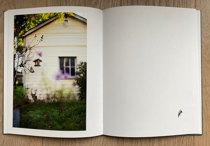 Instruction Manual No 3 Terri Weifenbach | eBay