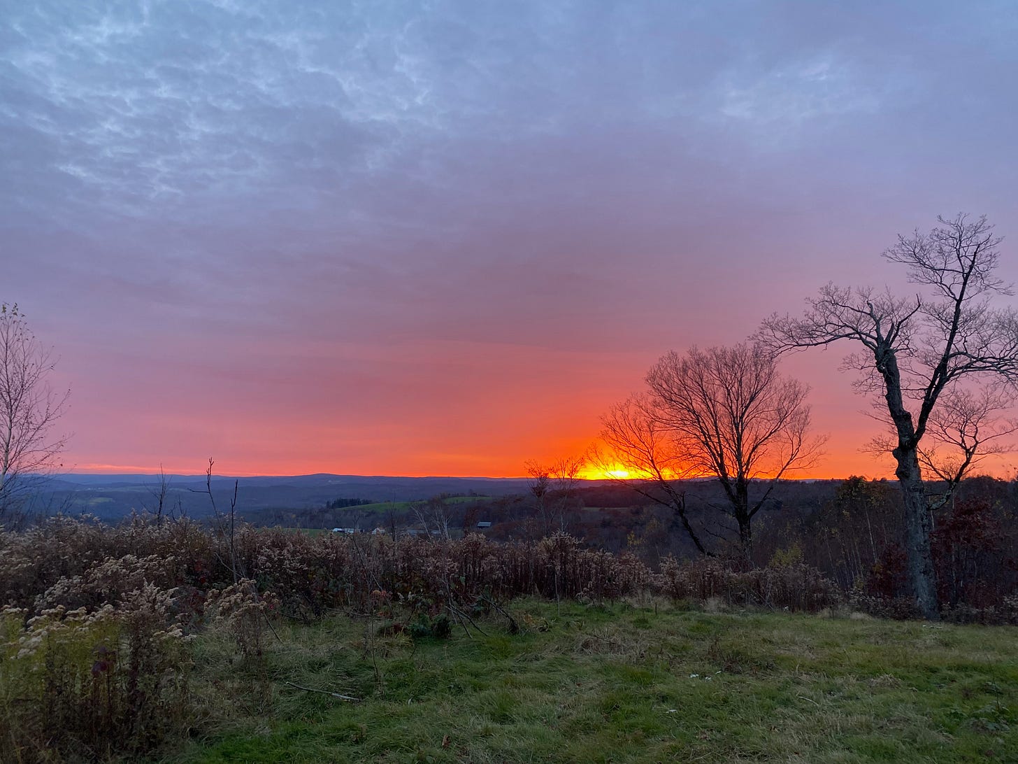 View of a brilliant sunset from a ridgetop. The sky is red, pink, and purple, the sun a golden orb low on the horizon. Two bare black trees are silhouetted against the sky.