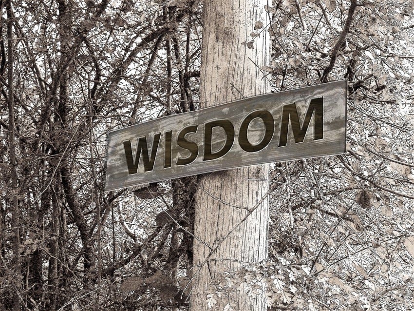 wisdom