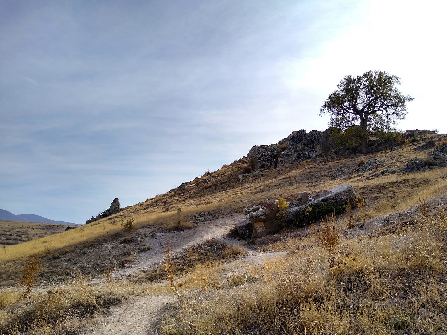 Instead of becoming a towering king of the gods, dragged away to a temple somewhere, it remained part of the place, an accidental living rock-relief, a monument to the hubris of a vanished empire.