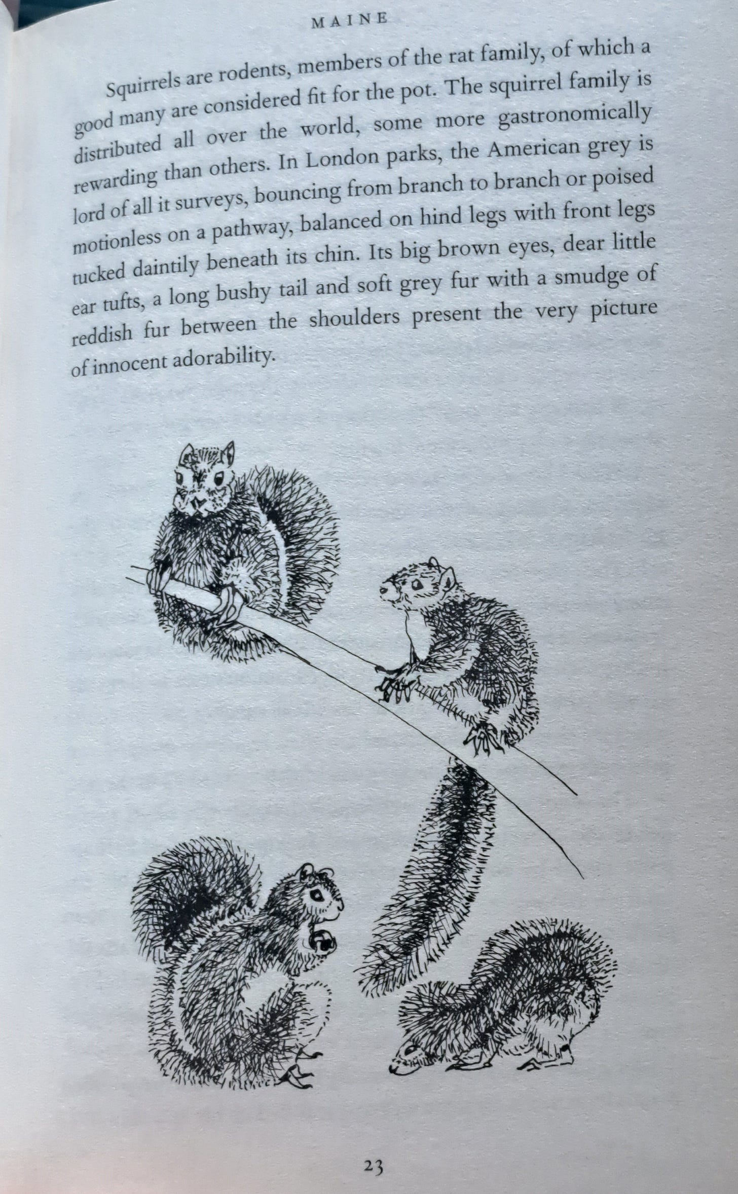 Squirrel Pie and other stories, Elisabeth Luard
