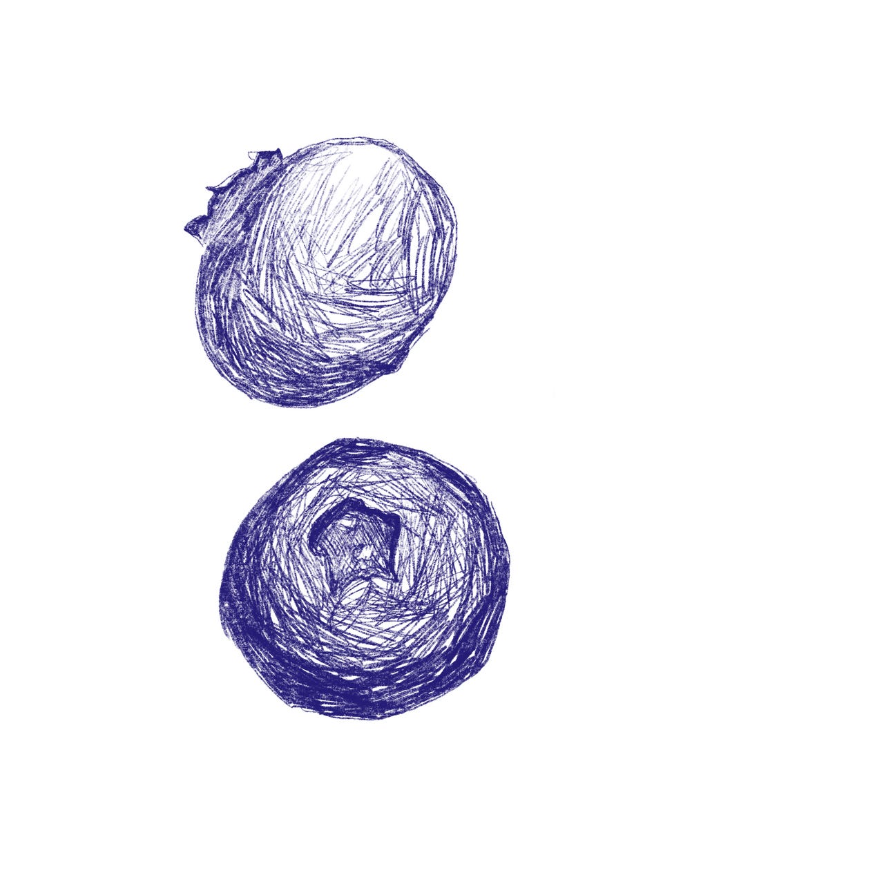 extracts from the journal