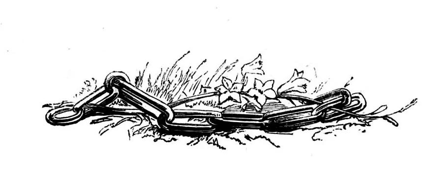 An etching of a length of chains on the ground, with flowers and grass growing amongst them.