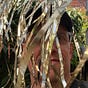 Axel Moline's avatar