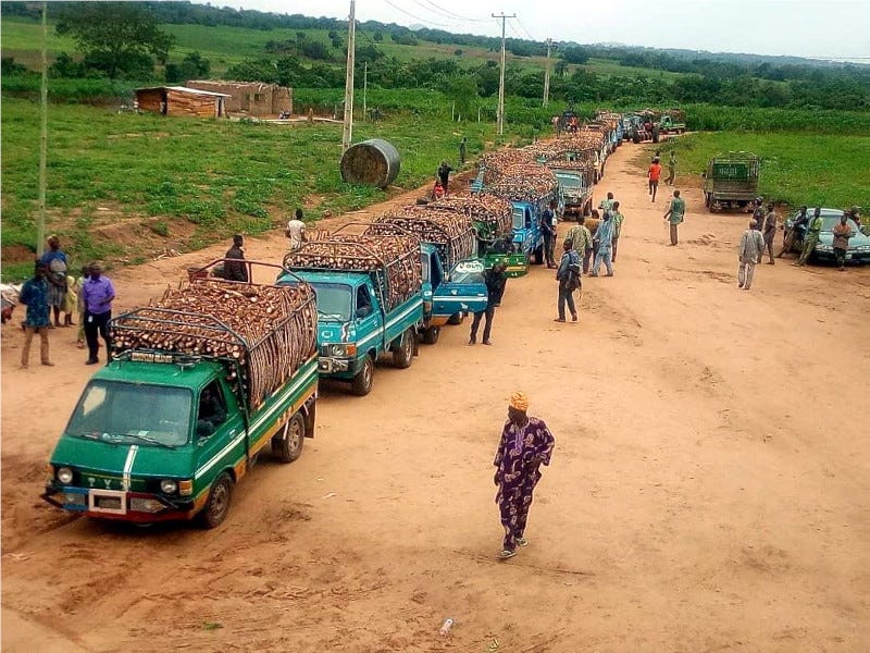 Smallholder farmers delivering cassava to the factory of Psaltry International in Nigeria.