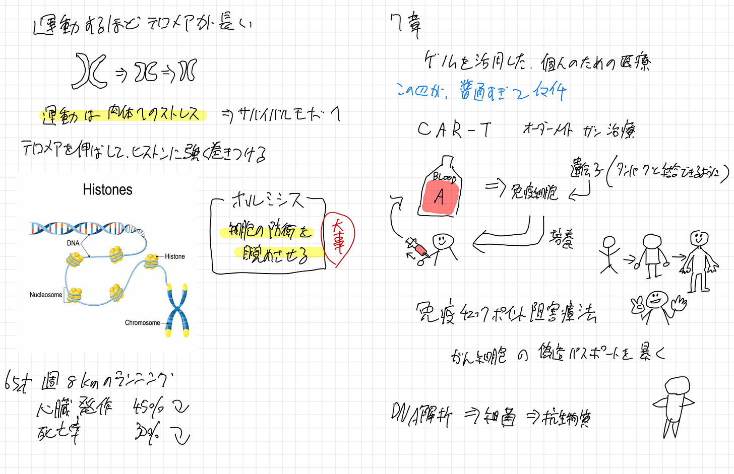 少しずつグラフィカルなノートに
