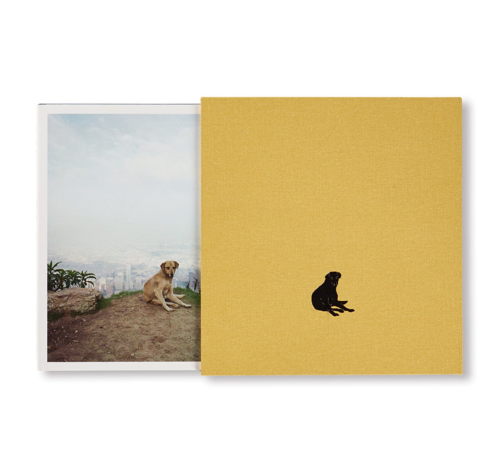 Alec Soth - by Bailey Richardson - Art Dogs