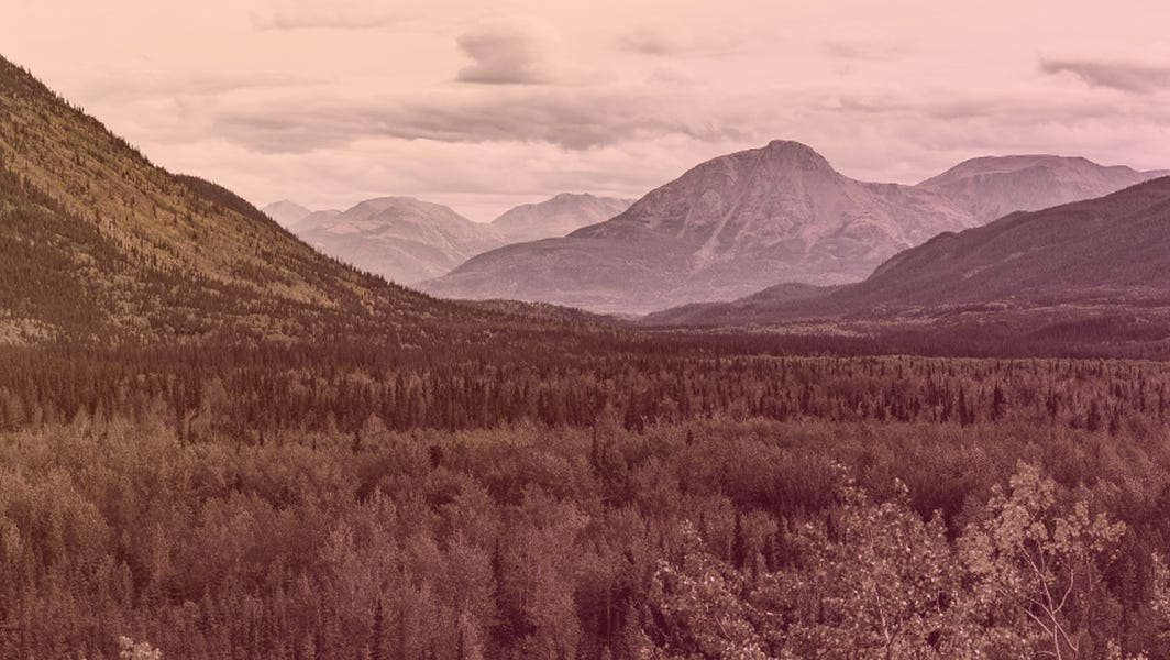 Liberals Maintain The Lead Heading Into December