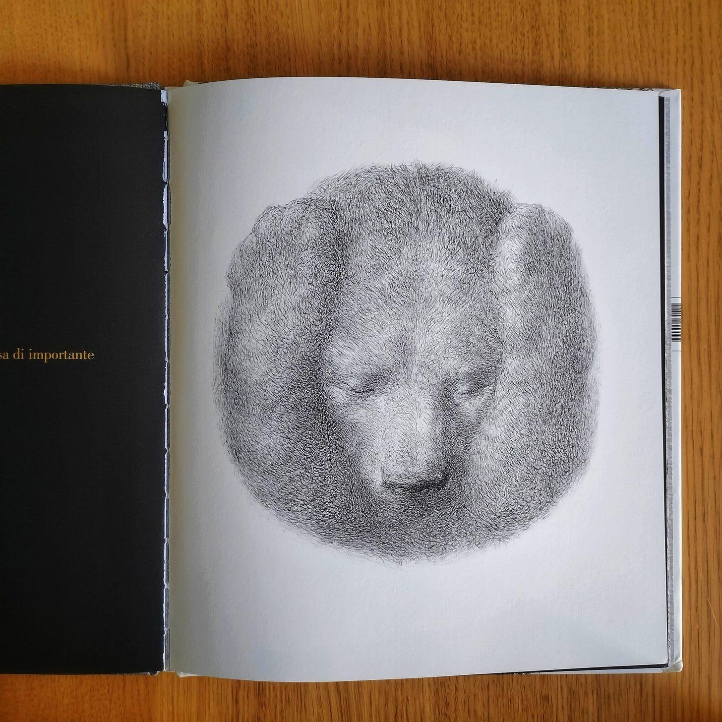 Zornista Hristova, Kiril Zlaktov, Ascoltami quando sto zitto, Orecchio Acerbo 2024; Nadine Robert, Valerio Vidali, Ascoltami Elefante, Terre di mezzo 2020.