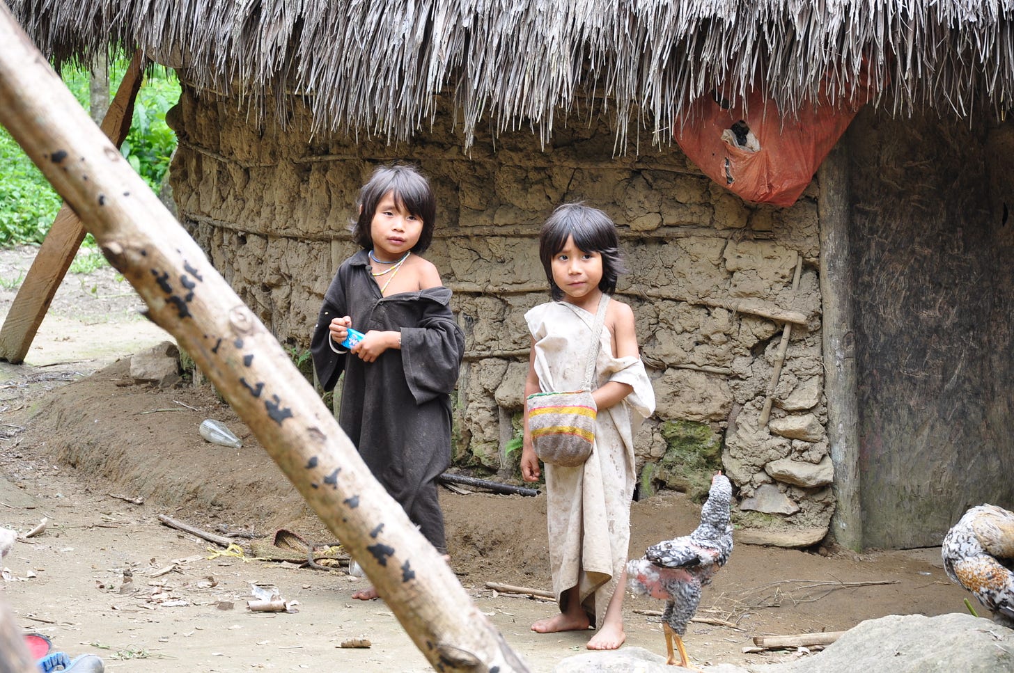 Two small Kogi children from Colombia’s Santa Marta mountains standing in front of a mud hut with a chicken beside them. Two small Kogi children from Colombia’s Santa Marta mountains standing in front of a mud hut with a chicken beside them.