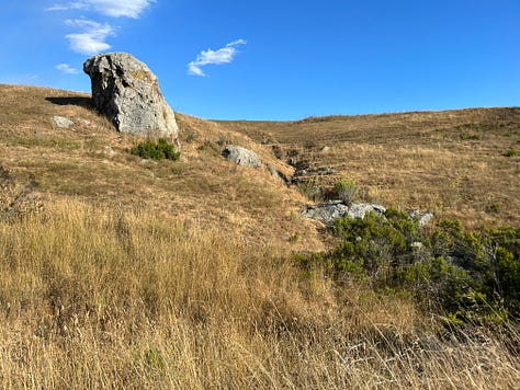 photos of the landscape from my hike