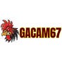 Gacam67's avatar