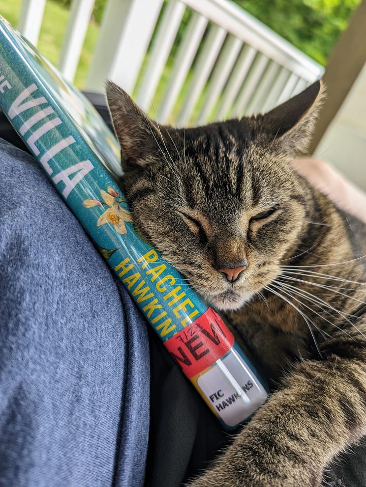 cat resting on a book, book on deck table