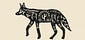 A. Coyote
